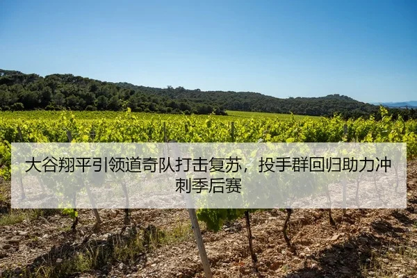 大谷翔平引领道奇队打击复苏，投手群回归助力冲刺季后赛