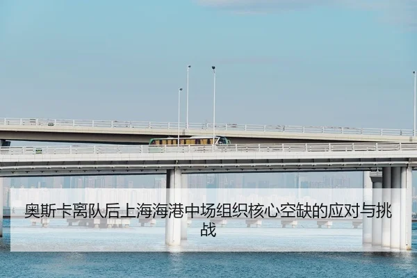 ao-si-ka-li-dui-hou-shang-hai-hai-gang-zhong-chang-zu-zhi-he-xin-kong-que-de-ying-dui-yu-tiao-zhan-2-282.jpg