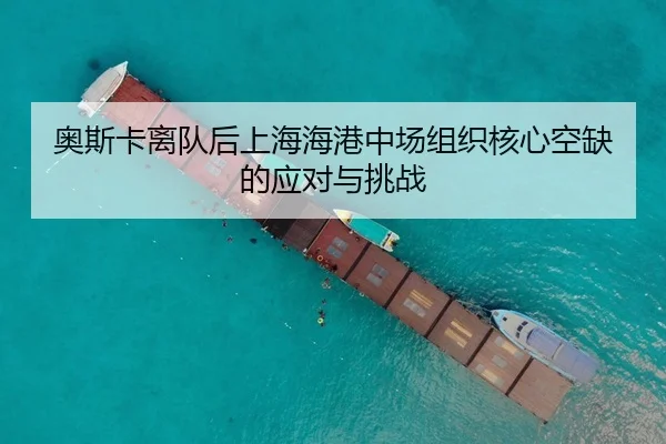 ao-si-ka-li-dui-hou-shang-hai-hai-gang-zhong-chang-zu-zhi-he-xin-kong-que-de-ying-dui-yu-tiao-zhan-3-532.jpg