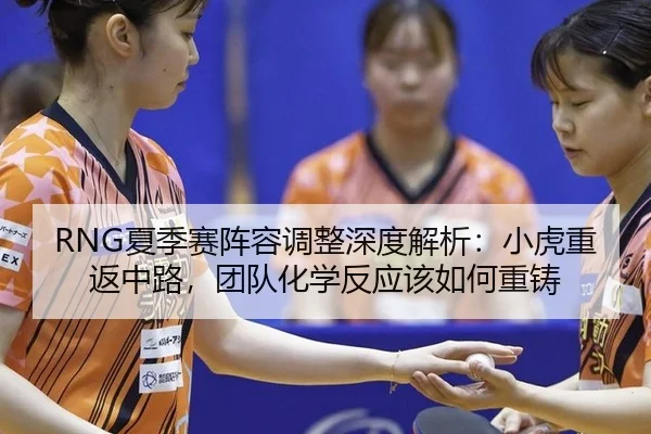 xia-ji-sai-zhen-rong-tiao-zheng-shen-du-jie-xi-xiao-hu-chong-fan-zhong-lu-tuan-dui-hua-xue-fan-ying-gai-ru-he-zhong-zhu-2-447.jpg
