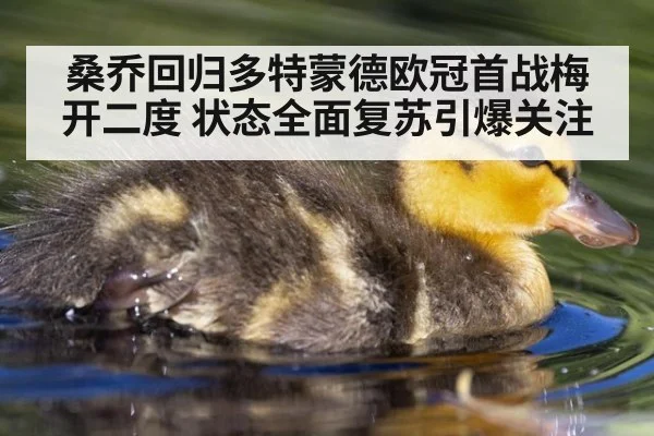 桑乔回归多特蒙德欧冠首战梅开二度 状态全面复苏引爆关注